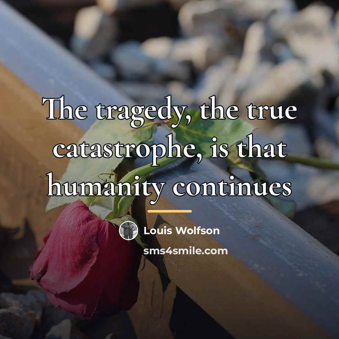 “The tragedy, the true catastrophe, is that humanity continues…” quote by Louis Wolfson