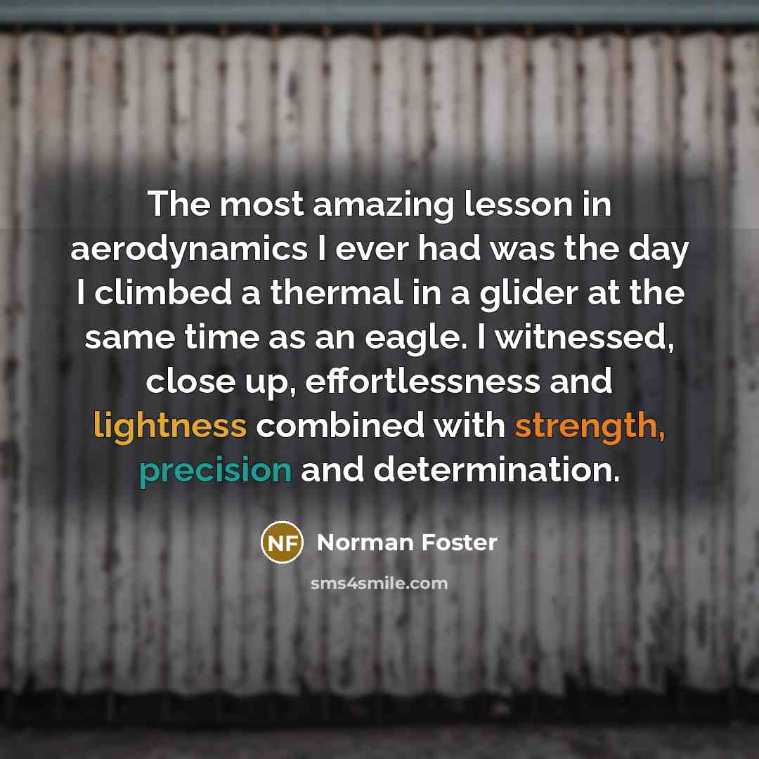 “The most amazing lesson in aerodynamics I ever had was the day I climbed a thermal in a glider at the same time as an eagle. I witnessed, close up, effortlessness and lightness combined with strength, precision and determination.” quote by Norman Foster