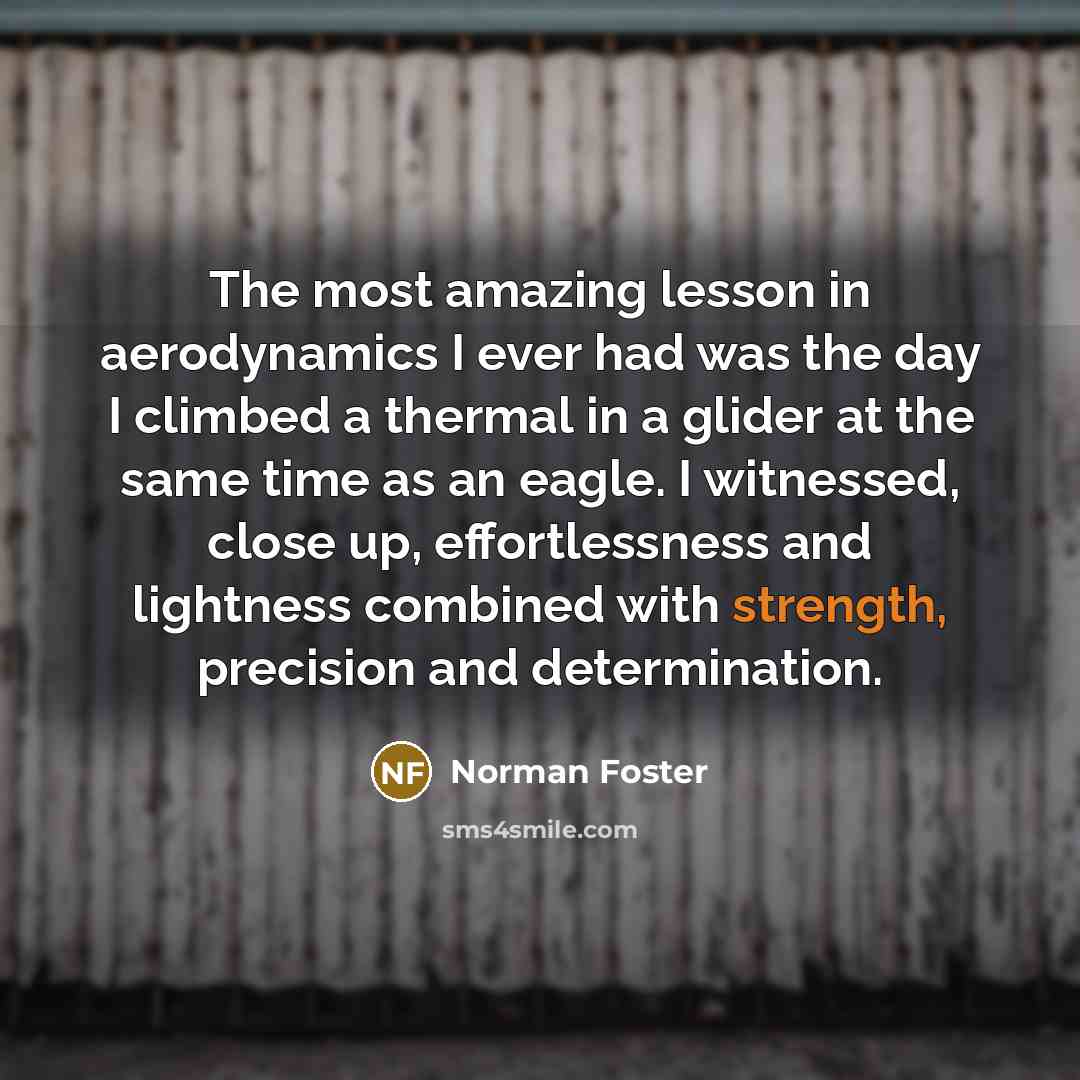 “The most amazing lesson in aerodynamics I ever had was…” quote by Norman Foster