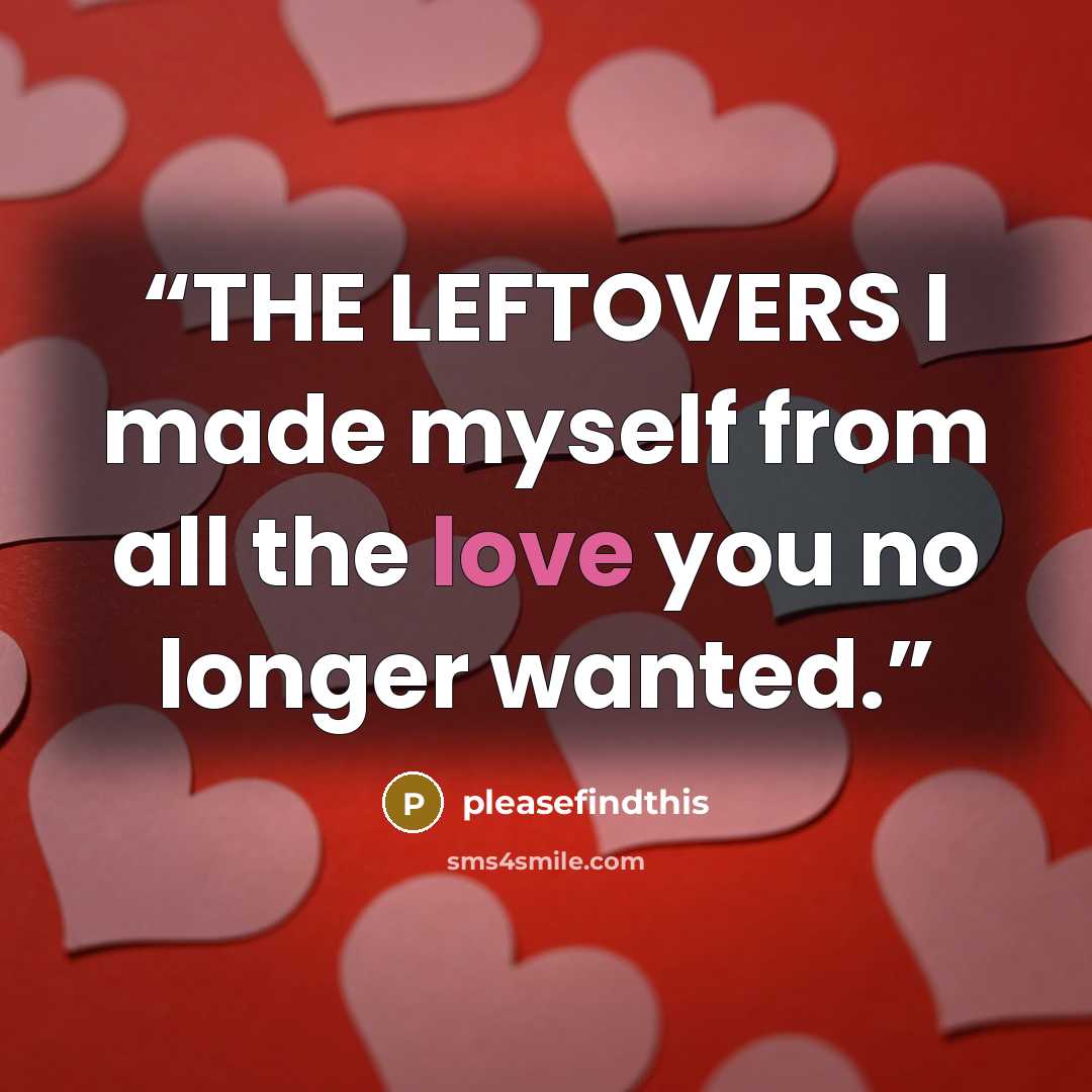 “THE LEFTOVERS I made myself from all the love you no longer wanted.” quote by pleasefindthis