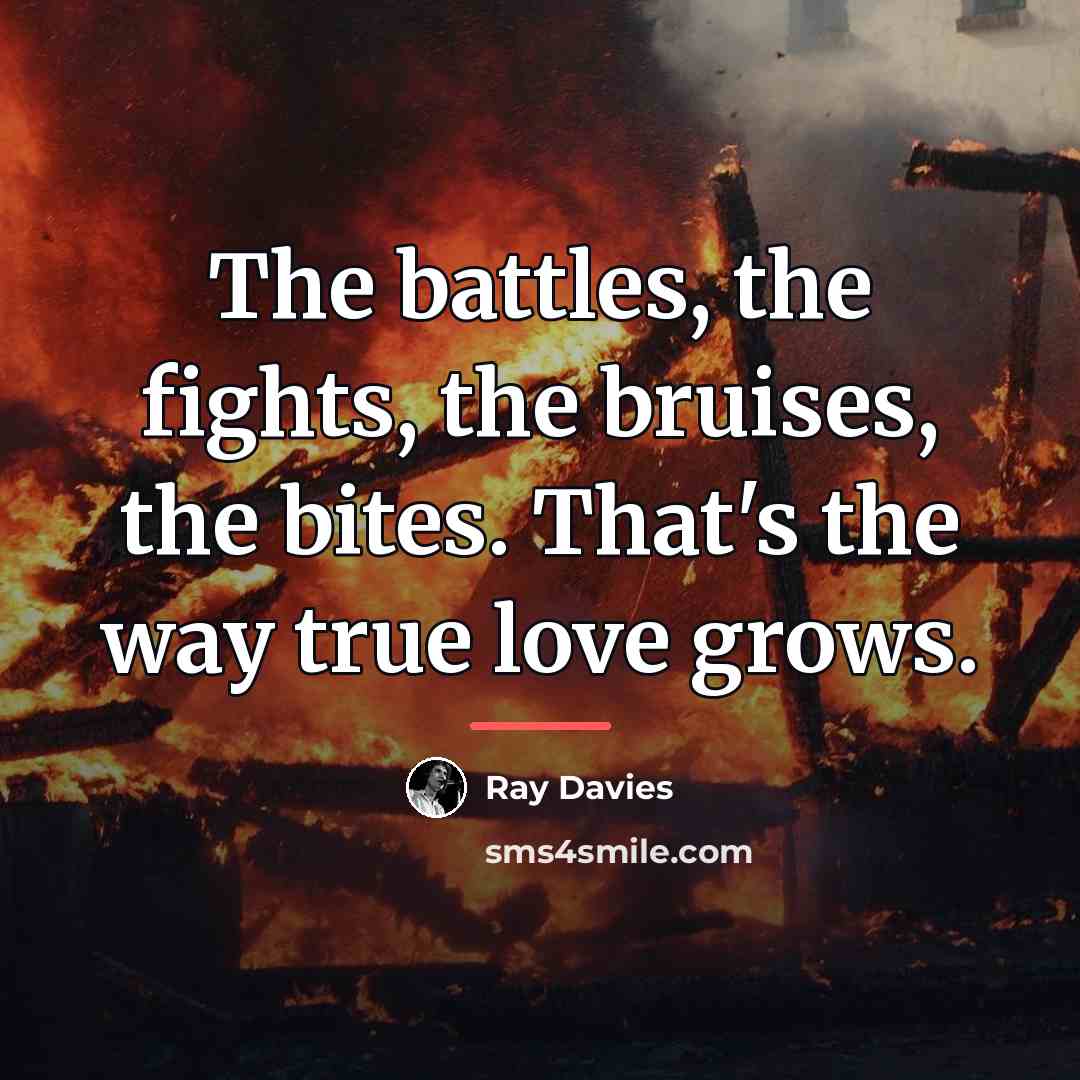 “The battles, the fights, the bruises, the bites. That's the…” quote by Ray Davies