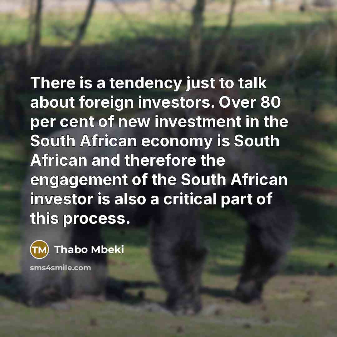 “There is a tendency just to talk about foreign investors.…” quote by Thabo Mbeki