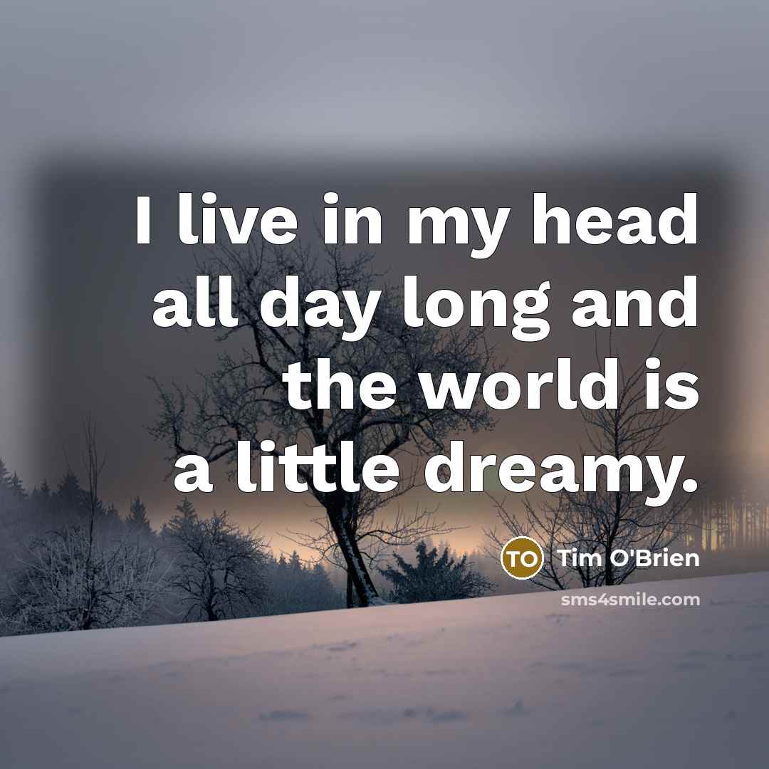 “I live in my head all day long and the…” quote by Tim O'Brien