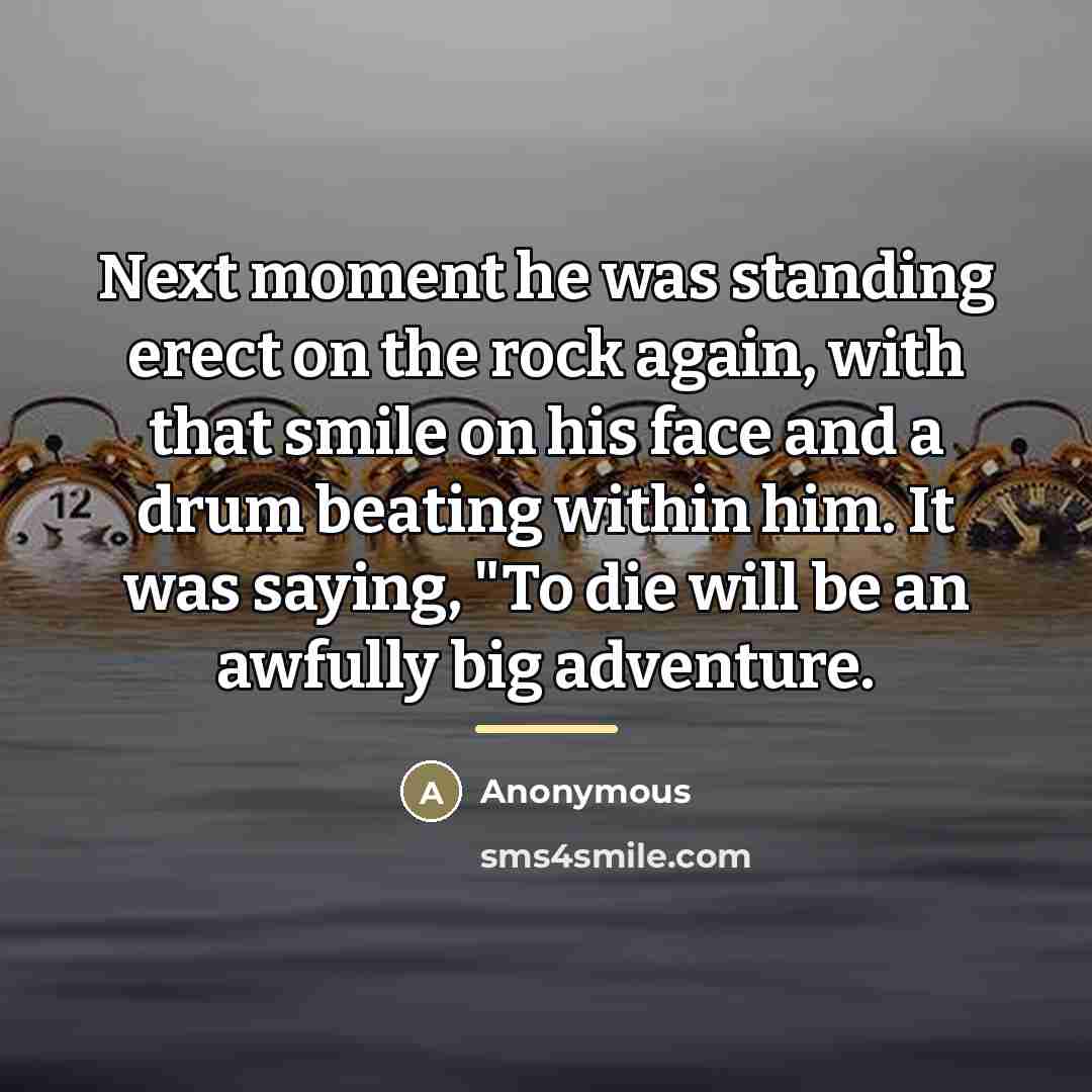 “Next moment he was standing erect on the rock again,…” quote by Anonymous