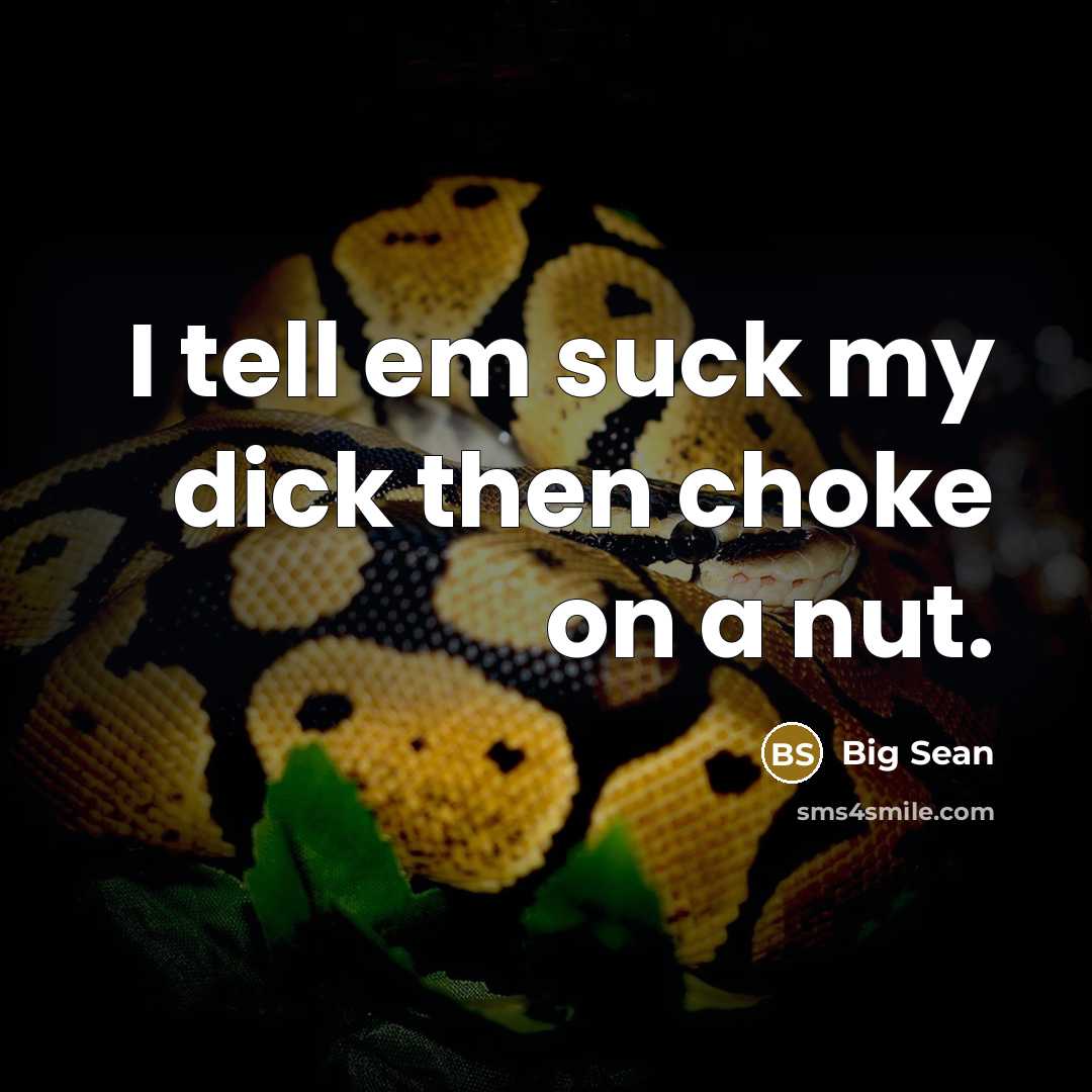“I tell em suck my dick then choke on a nut.” quote by Big Sean