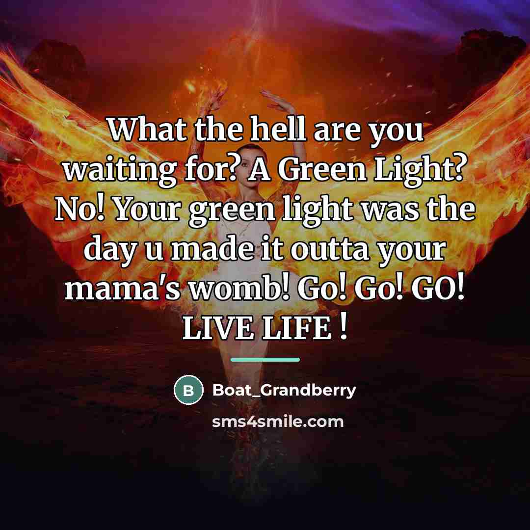 “What the hell are you waiting for? A Green Light?…” quote by Boat_Grandberry