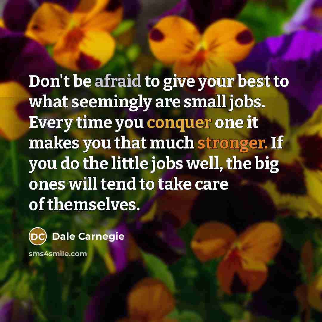 “Don't be afraid to give your best to what seemingly…” quote by Dale Carnegie
