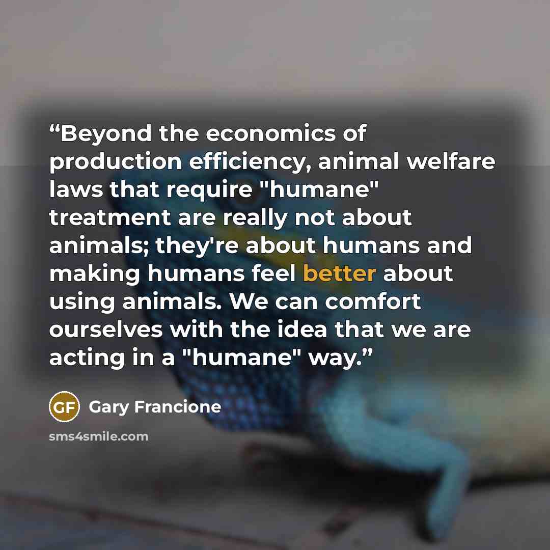 “Beyond the economics of production efficiency, animal welfare laws that require "humane" treatment are really not about animals; they're about humans and making humans feel better about using animals. We can comfort ourselves with the idea that we are acting in a "humane" way.” quote by Gary Francione