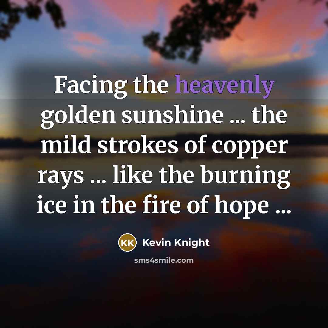 “Facing the heavenly golden sunshine ... the mild strokes of…” quote by Kevin Knight