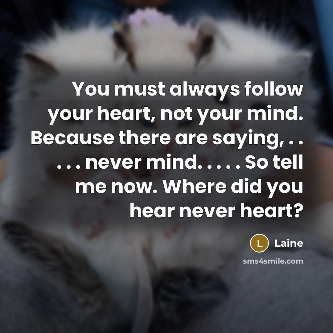 “You must always follow your heart, not your mind. Because…” quote by Laine