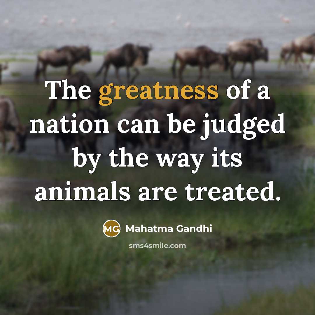 “The greatness of a nation can be judged by the way its animals are treated.” quote by Mahatma Gandhi