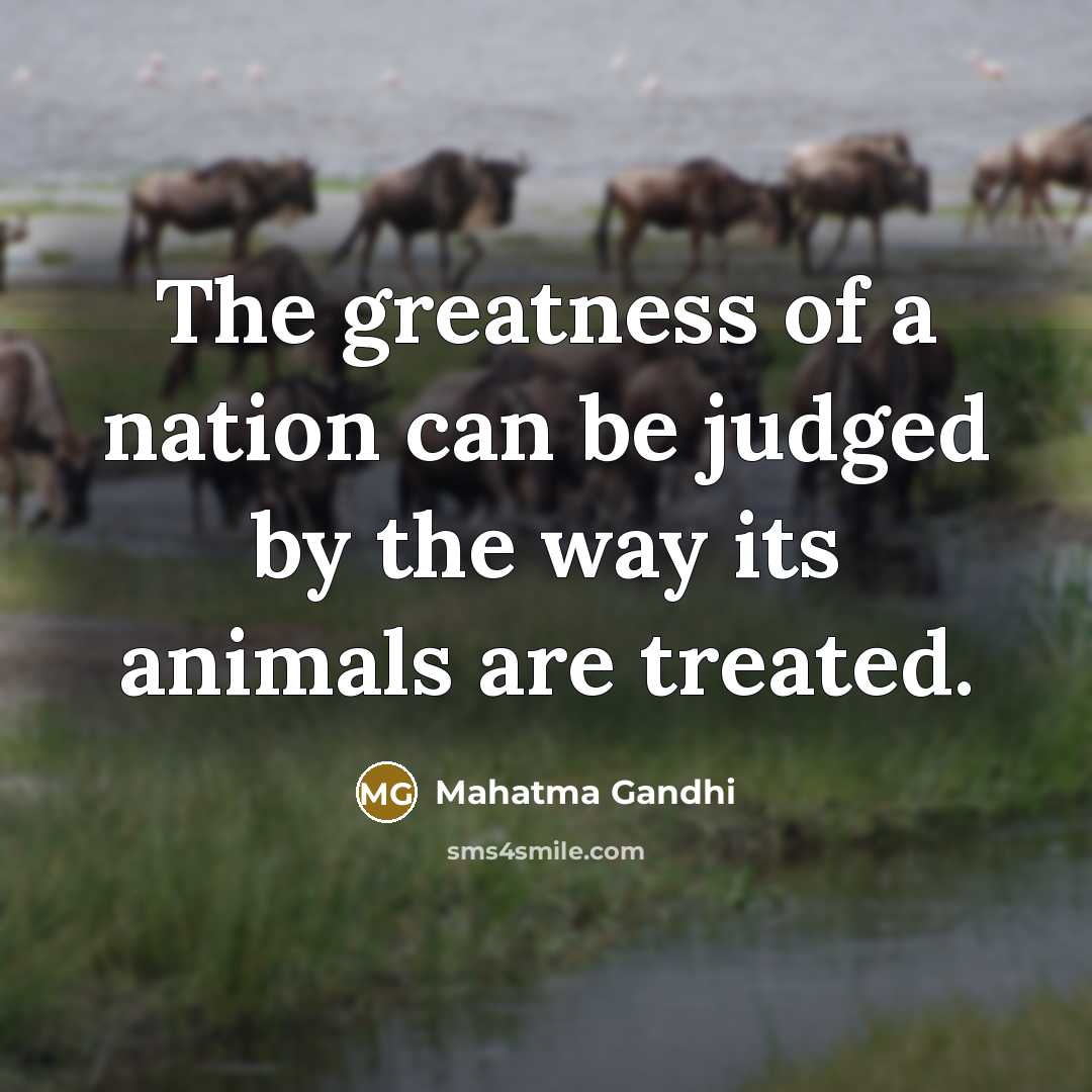 “The greatness of a nation can be judged by the…” quote by Mahatma Gandhi