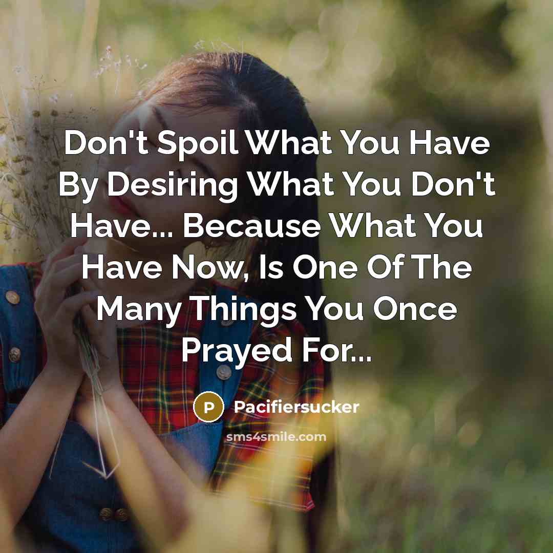 “Don't Spoil What You Have By Desiring What You Don't…” quote by Pacifiersucker