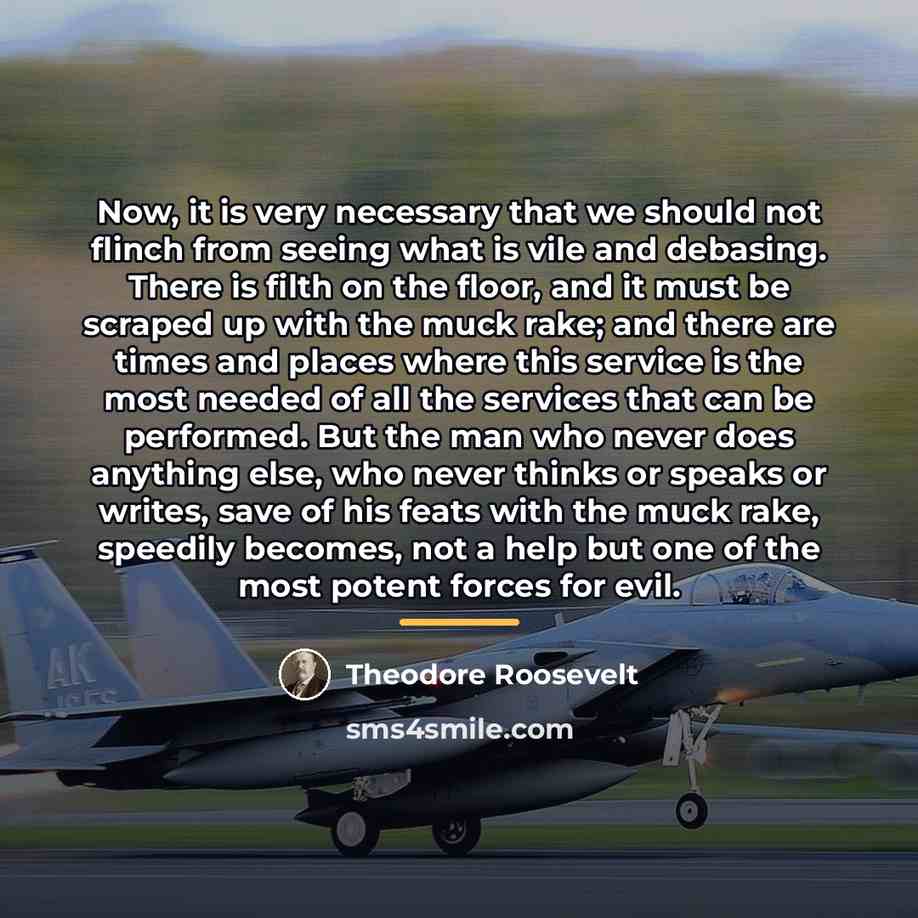 “Now, it is very necessary that we should not flinch…” quote by Theodore Roosevelt