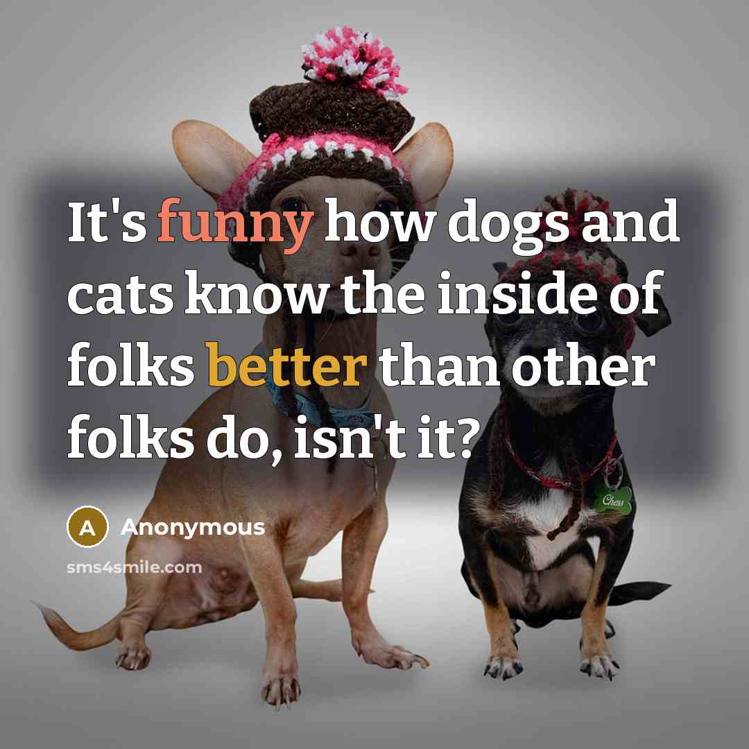 “It's funny how dogs and cats know the inside of folks better than other folks do, isn't it?” quote by Anonymous