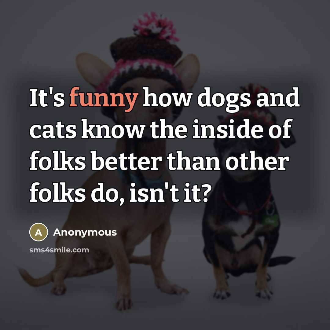 “It's funny how dogs and cats know the inside of…” quote by Anonymous