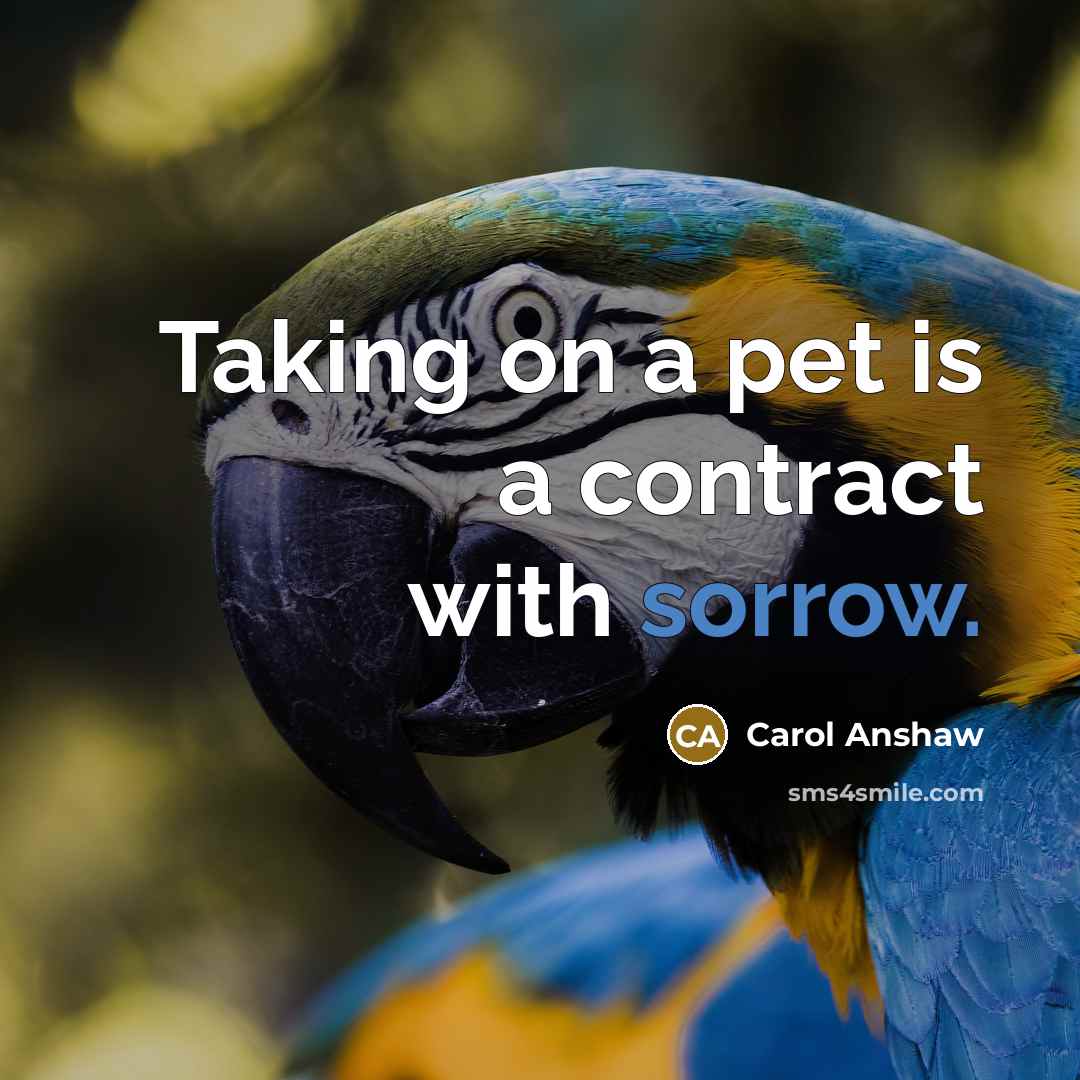 “Taking on a pet is a contract with sorrow.” quote by Carol Anshaw