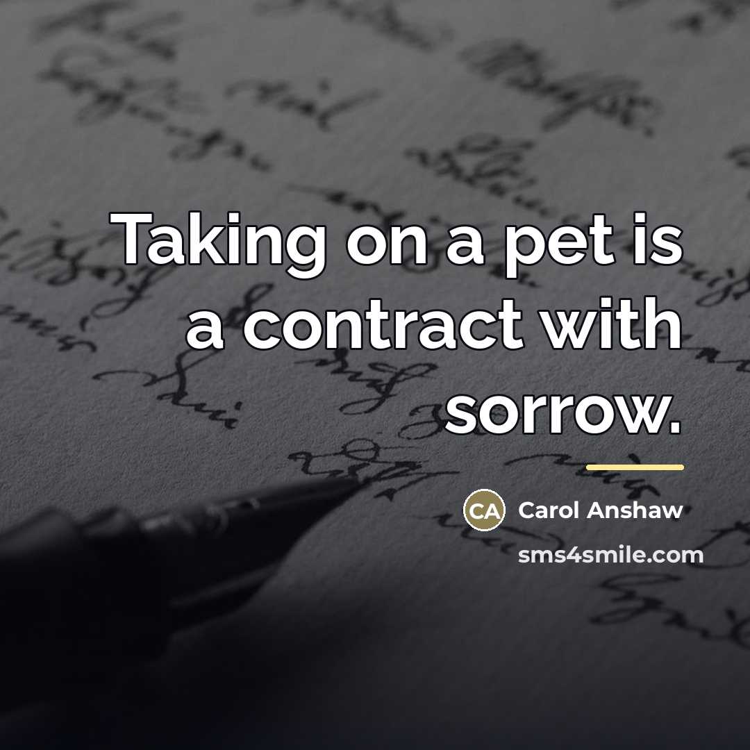 “Taking on a pet is a contract with sorrow.…” quote by Carol Anshaw