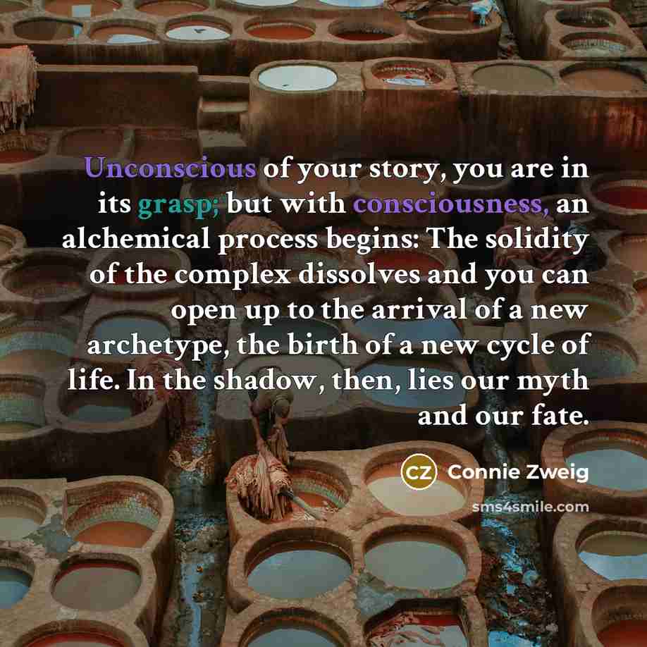 “Unconscious of your story, you are in its grasp; but…” quote by Connie Zweig