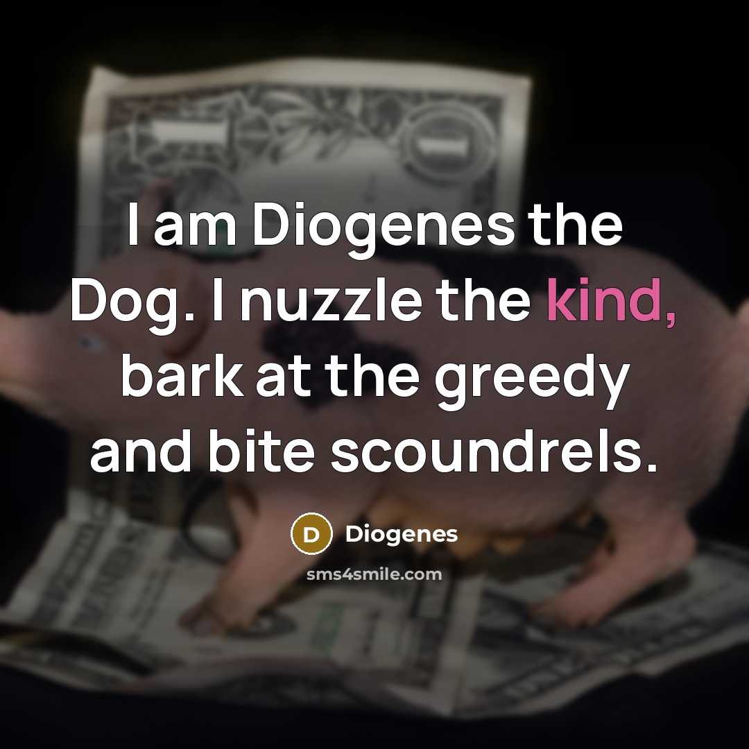 “I am Diogenes the Dog. I nuzzle the kind, bark at the greedy and bite scoundrels.” quote by Diogenes