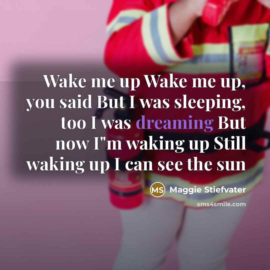 “Wake me up Wake me up, you said But I…” quote by Maggie Stiefvater