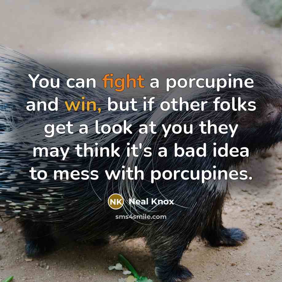 “You can fight a porcupine and win, but if other…” quote by Neal Knox