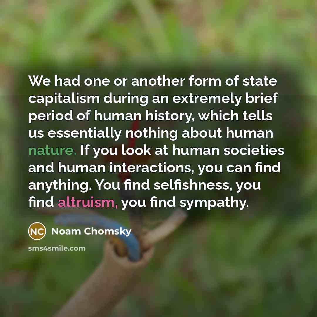 “We had one or another form of state capitalism during…” quote by Noam Chomsky