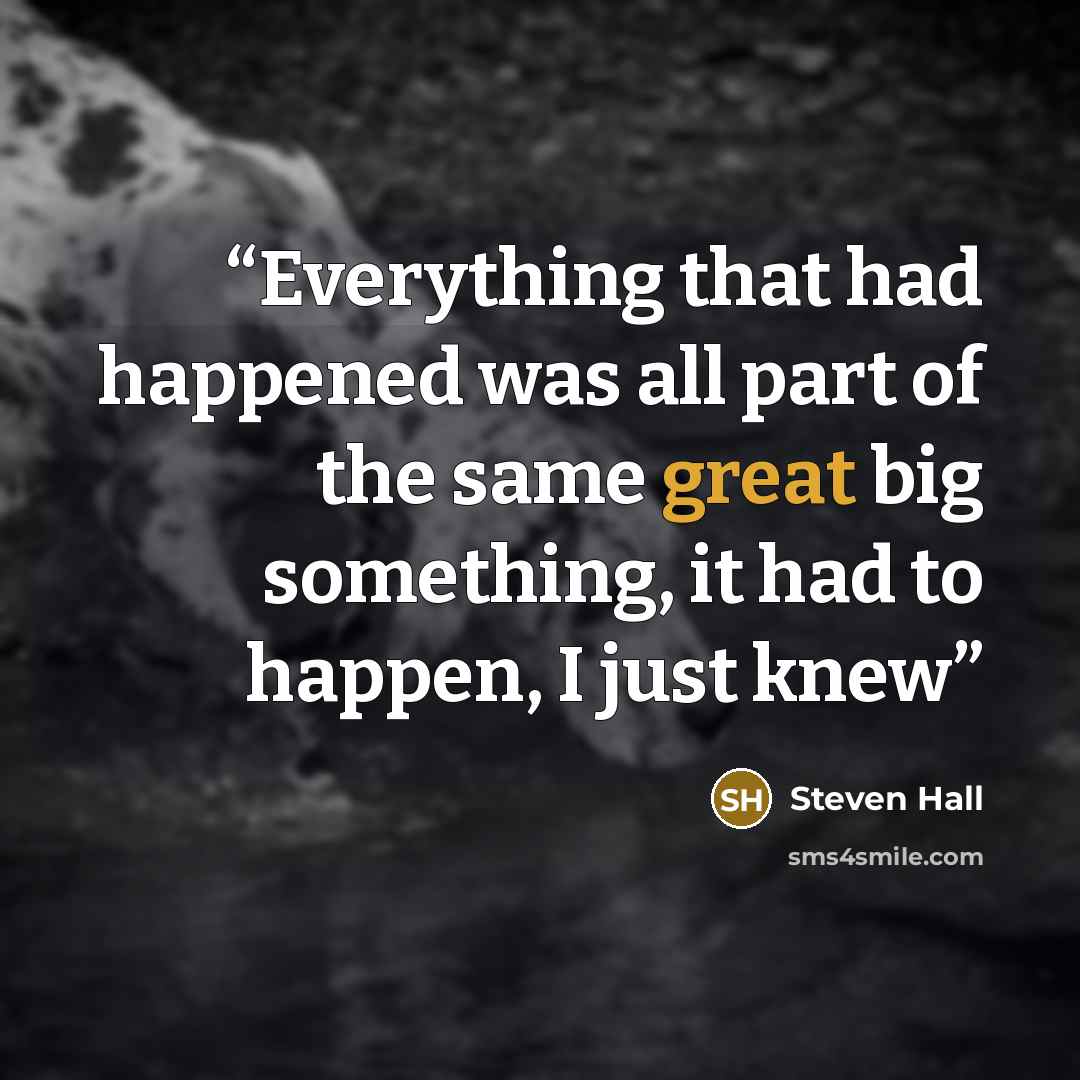 “Everything that had happened was all part of the same great big something, it had to happen, I just knew” quote by Steven Hall