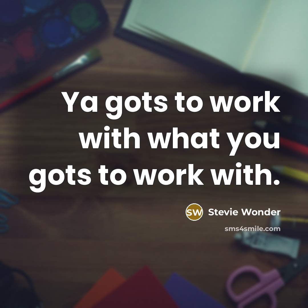 “Ya gots to work with what you gots to work…” quote by Stevie Wonder