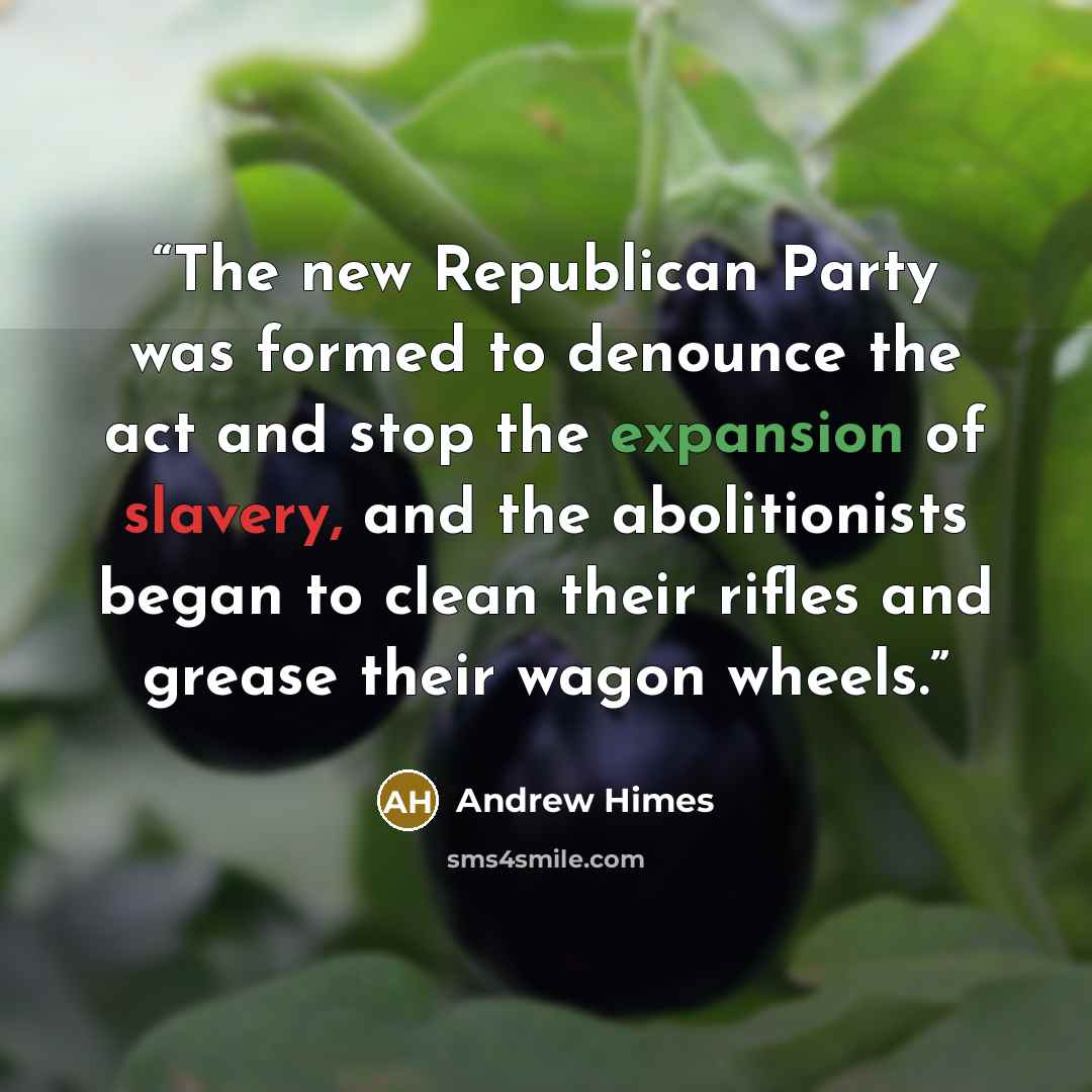 “The new Republican Party was formed to denounce the act and stop the expansion of slavery, and the abolitionists began to clean their rifles and grease their wagon wheels.” quote by Andrew Himes