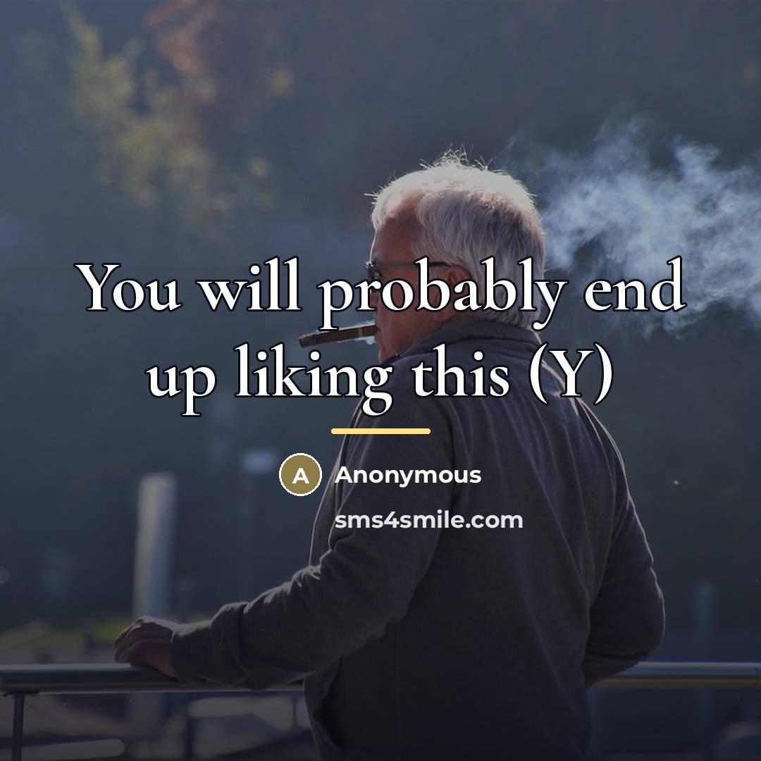 “You will probably end up liking this (Y)…” quote by Anonymous