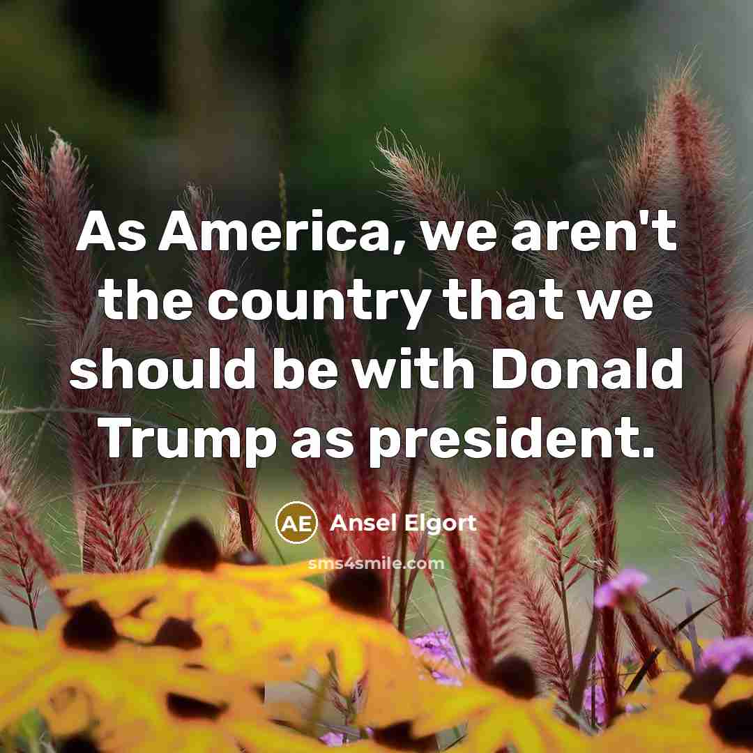 “As America, we aren't the country that we should be…” quote by Ansel Elgort