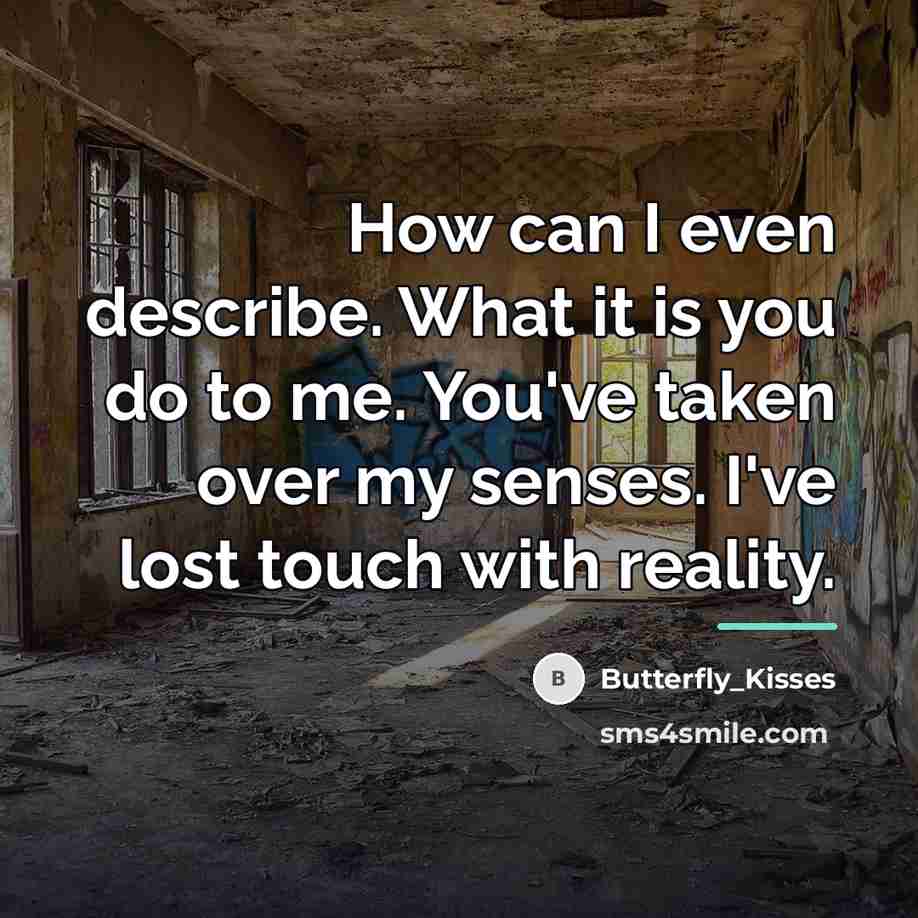 “How can I even describe. What it is you do…” quote by Butterfly_Kisses