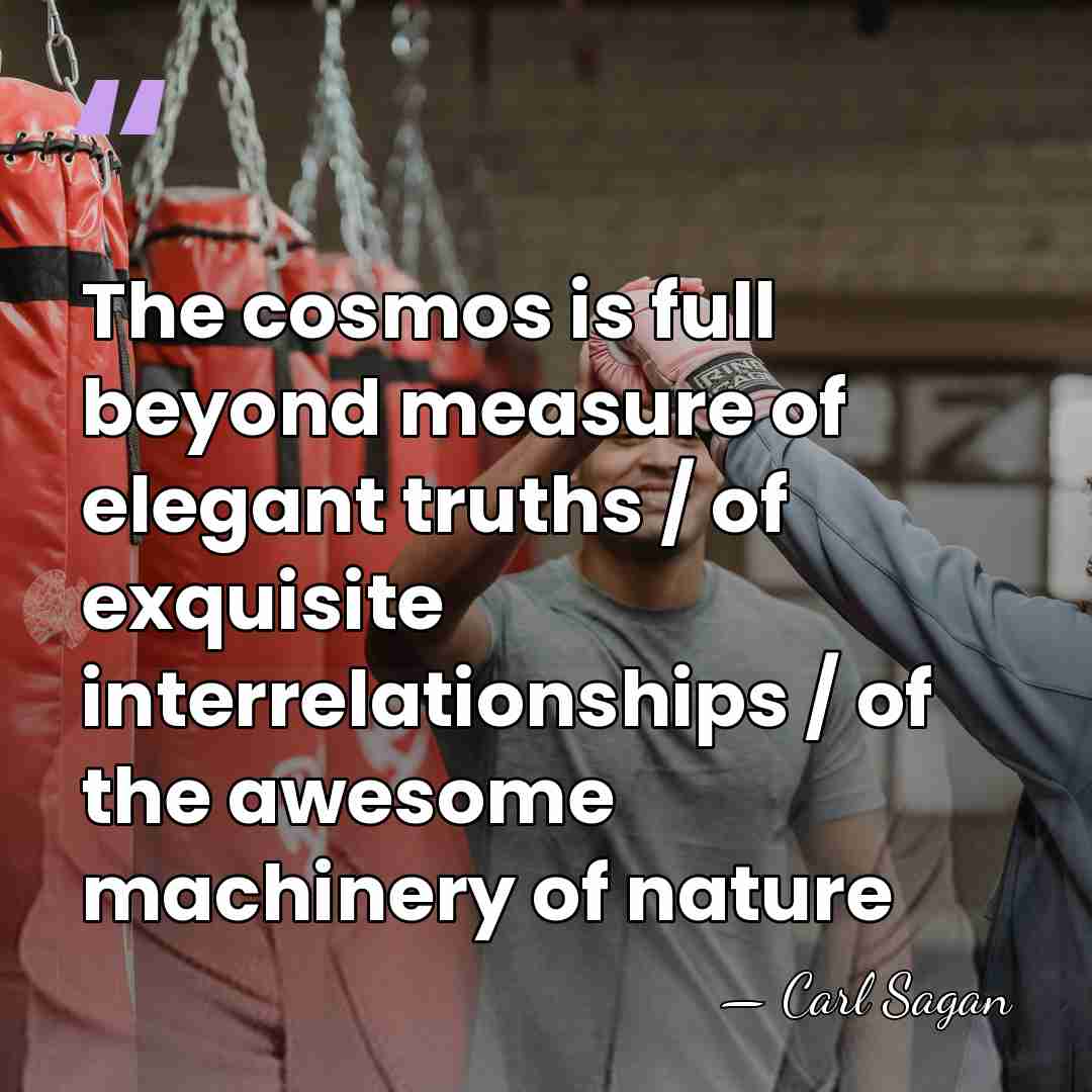 The cosmos is full beyond measure of elegant truths / of exquisite&hellip; - Carl Sagan