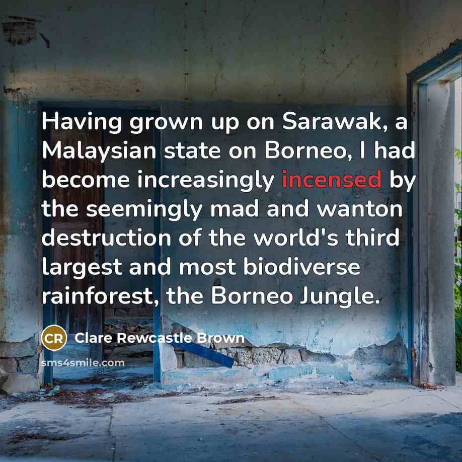 “Having grown up on Sarawak, a Malaysian state on Borneo,…” quote by Clare Rewcastle Brown
