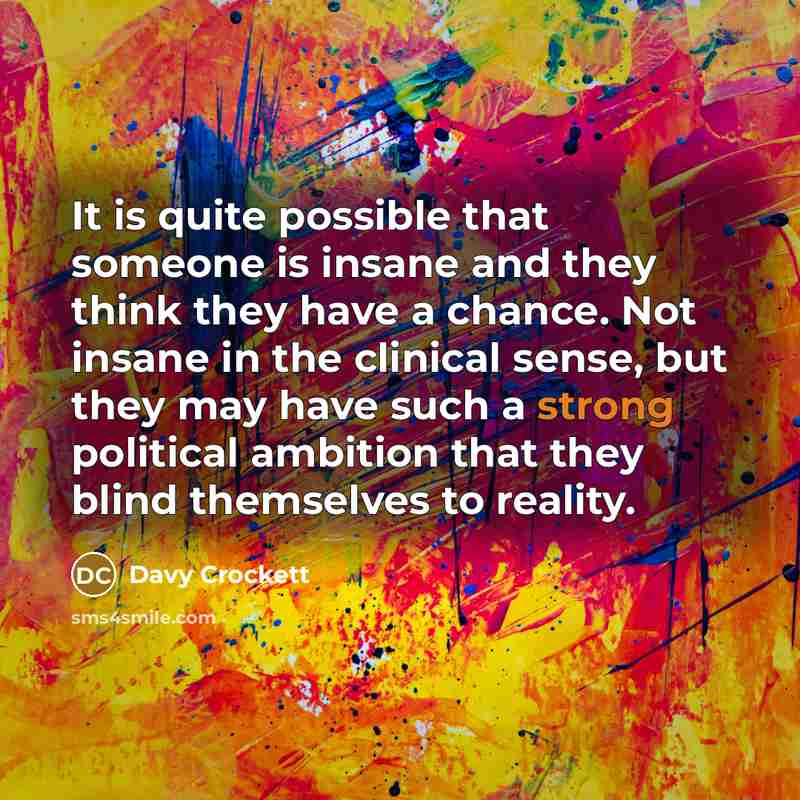 “It is quite possible that someone is insane and they…” quote by Davy Crockett