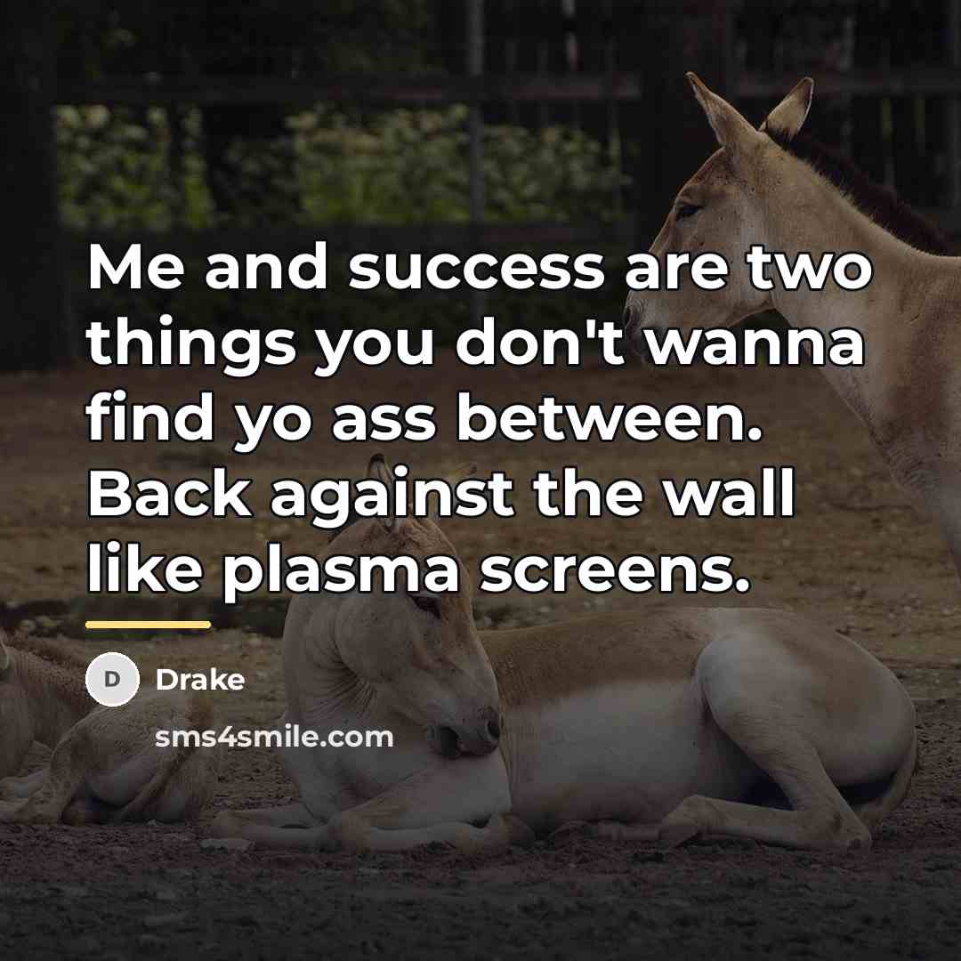 “Me and success are two things you don't wanna find…” quote by Drake