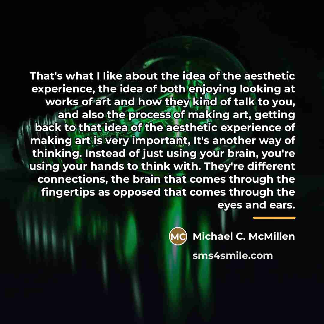 “That's what I like about the idea of the aesthetic…” quote by Michael C. McMillen