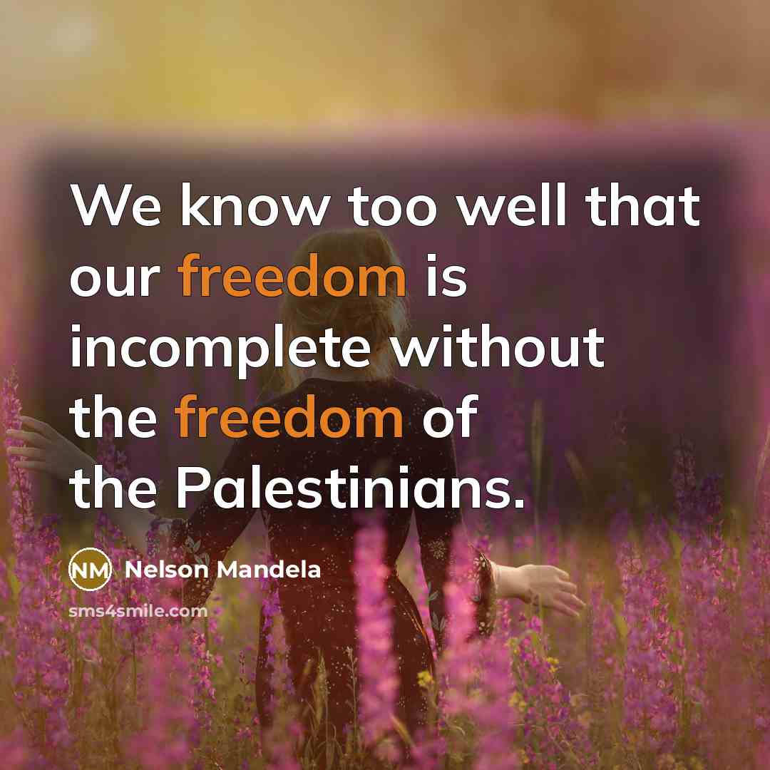 “We know too well that our freedom is incomplete without…” quote by Nelson Mandela