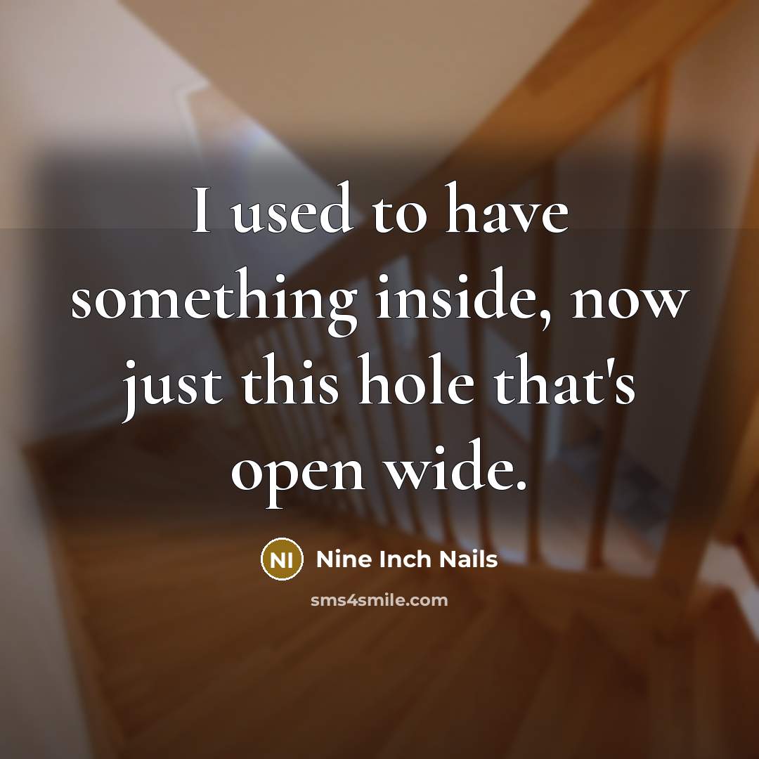“I used to have something inside, now just this hole that's open wide.” quote by Nine Inch Nails