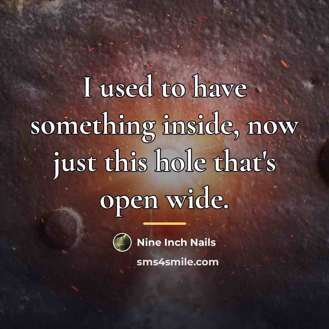 “I used to have something inside, now just this hole…” quote by Nine Inch Nails