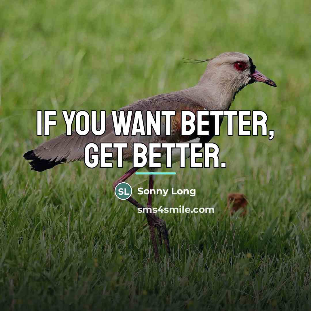 “If you want better, get better.…” quote by Sonny Long