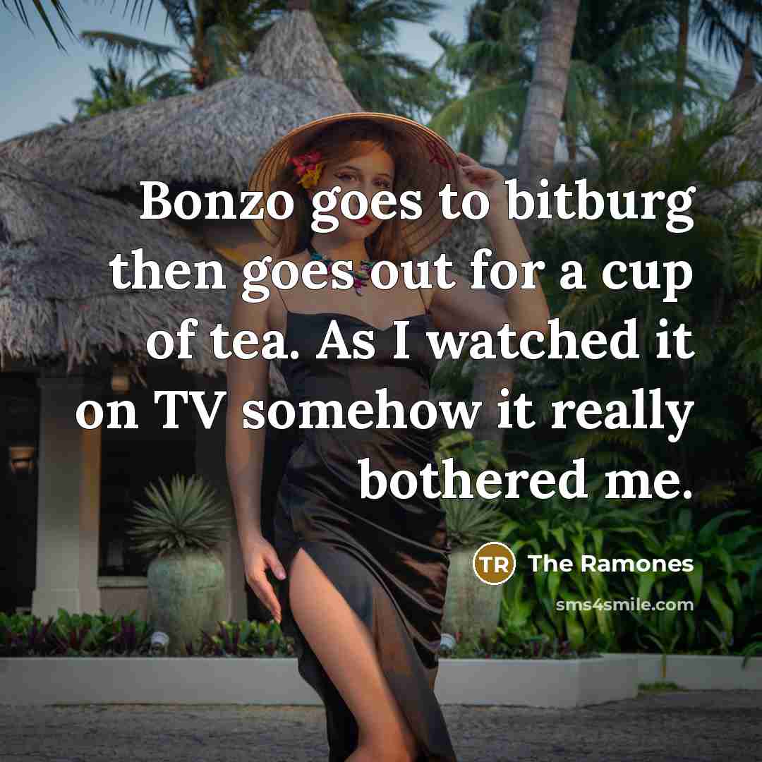 “Bonzo goes to bitburg then goes out for a cup of tea. As I watched it on TV somehow it really bothered me.” quote by The Ramones