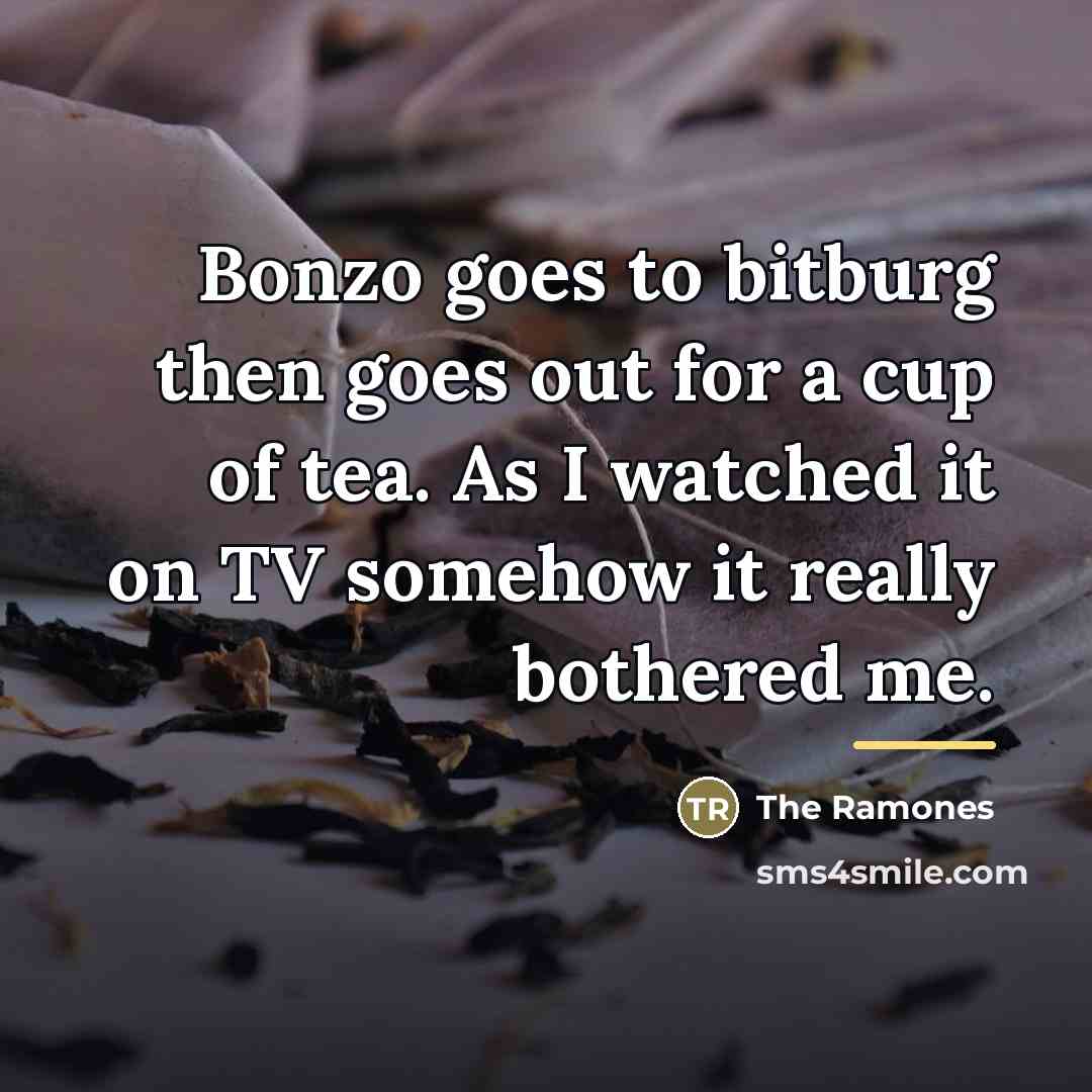 “Bonzo goes to bitburg then goes out for a cup…” quote by The Ramones