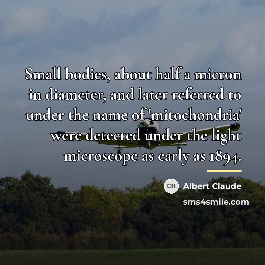 “Small bodies, about half a micron in diameter, and later…” quote by Albert Claude