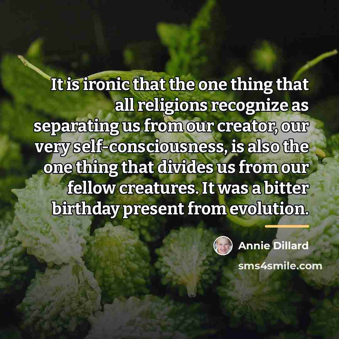 “It is ironic that the one thing that all religions…” quote by Annie Dillard