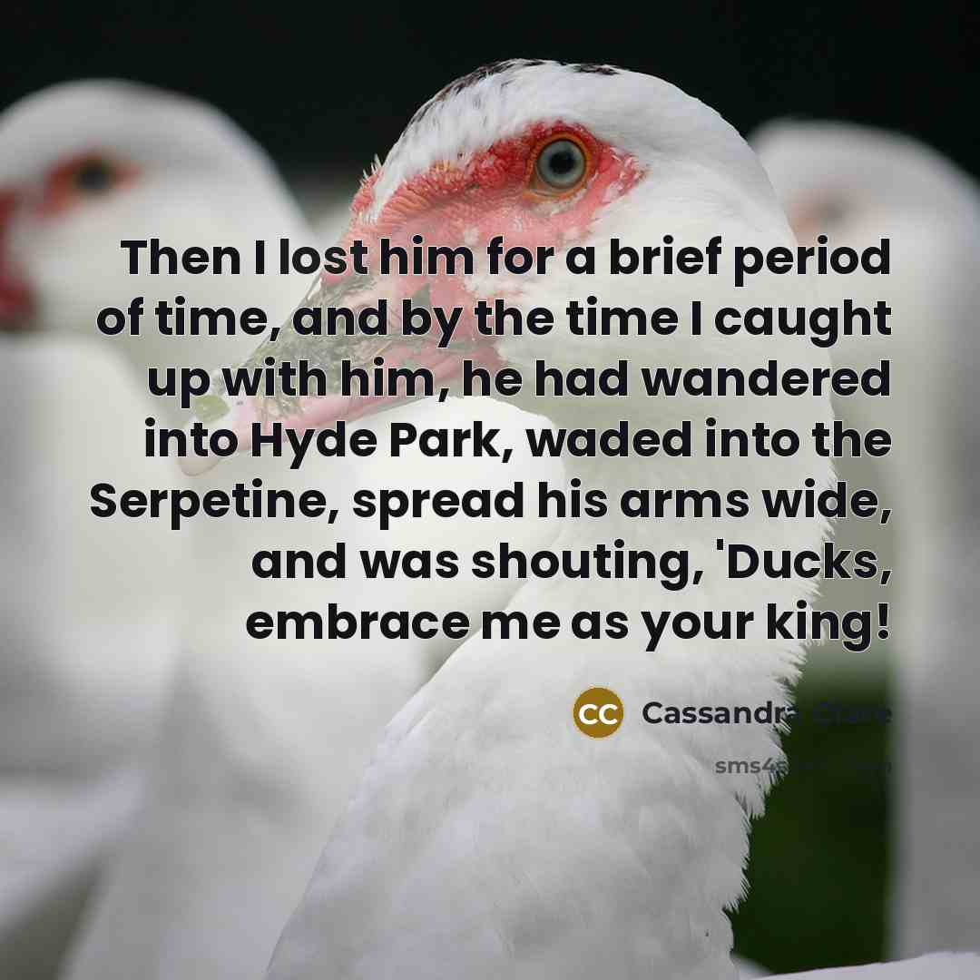 “Then I lost him for a brief period of time,…” quote by Cassandra Clare