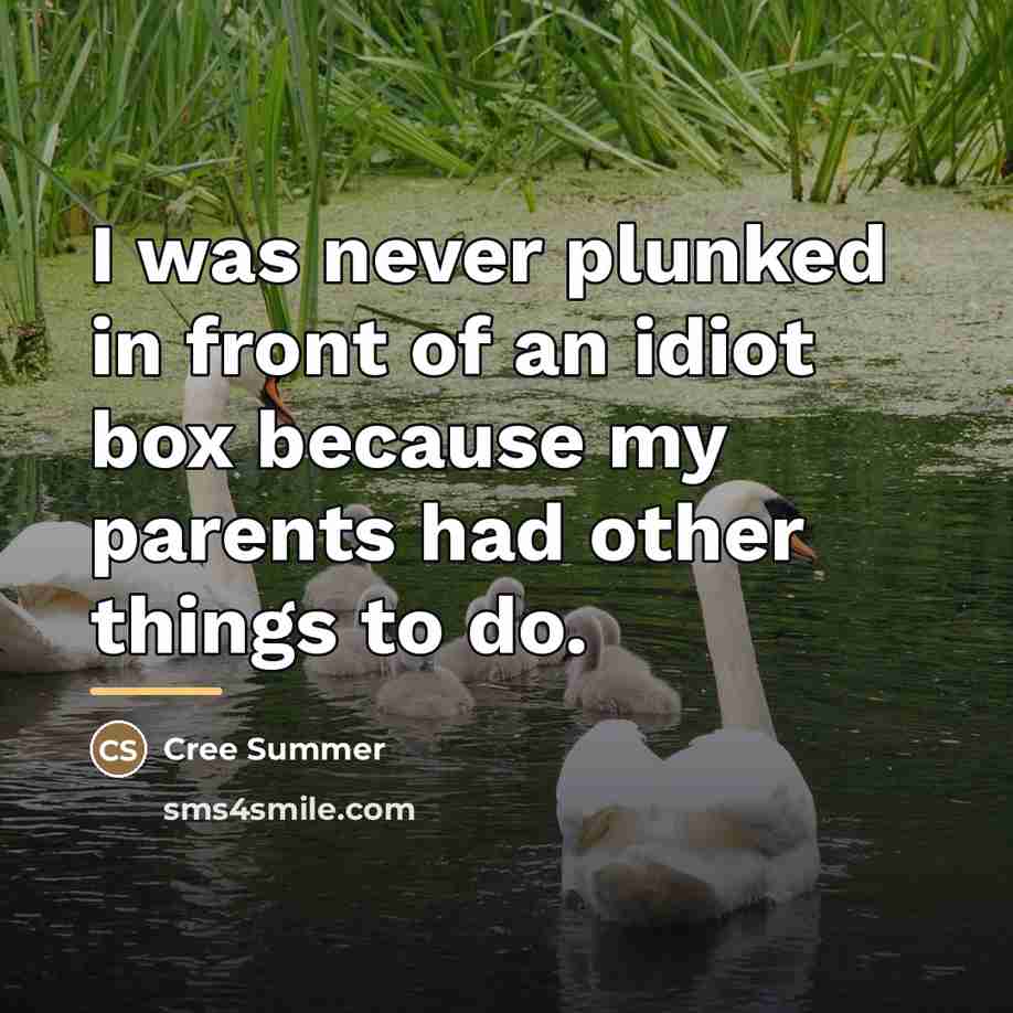 “I was never plunked in front of an idiot box…” quote by Cree Summer