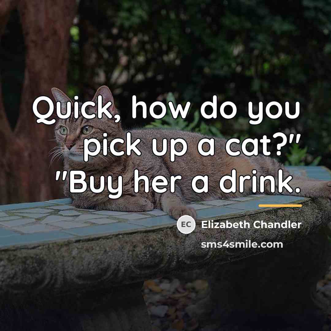 “Quick, how do you pick up a cat?" "Buy her…” quote by Elizabeth Chandler