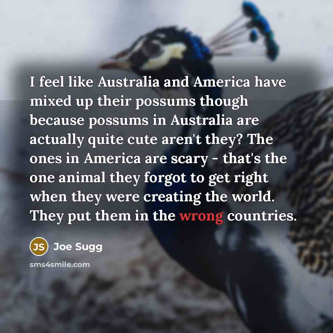 “I feel like Australia and America have mixed up their…” quote by Joe Sugg